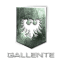 Logo faction gallente federation.png
