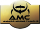 AMC Logo FormSignature.png
