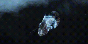 Visual2023 assault damage control.gif