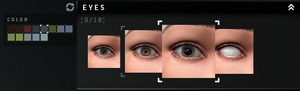 CharCreator-8-Eyes.png