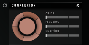 CharCreator-7-Complexion.png
