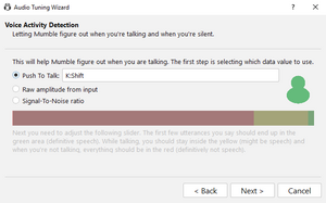 Mumble wizard push to talk.png