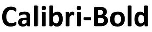 Calibri Bold Font.JPG
