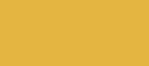 Colour E5B33F.png